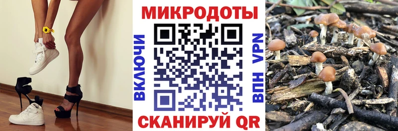 Псилоцибиновые грибы GOLDEN TEACHER  Навашино 